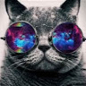 Meet your Posher, Austin